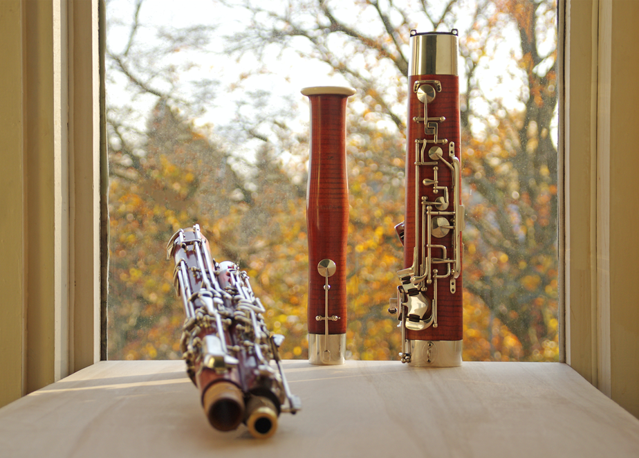 Heckel bassoon against Autumn leaves